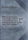 Biblical Researches in Palestine, Mount Sinai and Arabia Petraea: A Journal of Travels in the Year 1838, Volume 1 - Edward Robinson