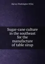 Sugar-cane culture in the southeast for the manufacture of table sirup - Harvey Washington Wiley