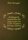 Waldjugend; Geschichten fur junge Leute von 15 bis 70 Jahren (German Edition) - P. Rosegger