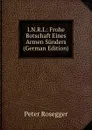 I.N.R.I.: Frohe Botschaft Eines Armen Sunders (German Edition) - P. Rosegger