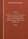 Terborch Und Jan Steen: Mit 95 Abbildungen Nach Gemalden Und Zeichnungen (German Edition) - Adolf Rosenberg