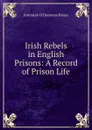 Irish Rebels in English Prisons: A Record of Prison Life - Jeremiah O'Donovan Rossa