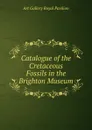 Catalogue of the Cretaceous Fossils in the Brighton Museum - Art Gallery Royal Pavilion