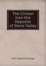 The Clinton Iron-Ore Deposits of Stone Valley - John Joseph Rutledge