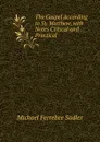 The Gospel According to St. Matthew, with Notes Critical and Practical - Michael Ferrebee Sadler