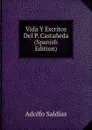 Vida Y Escritos Del P. Castaneda (Spanish Edition) - Adolfo Saldías