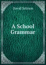 A School Grammar - David Salmon