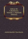 Libros De Caballerias, Volume 1 (Spanish Edition) - Adolfo Bonilla y San Martín