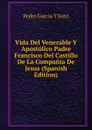 Vida Del Venerable Y Apostolico Padre Francisco Del Castillo De La Compania De Jesus (Spanish Edition) - Pedro Garcia Y Sanz