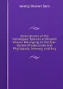 Descriptions of the Norwegian Species at Present Known Belonging to the Sub-Orders Phyllocarida and Phyllopoda. Norweg. and Eng - Georg Ossian Sars