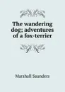 The wandering dog; adventures of a fox-terrier - Saunders Marshall