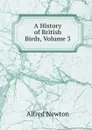 A History of British Birds, Volume 3 - Alfred Newton