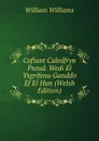 Cofiant Caledfryn Pseud. Wedi Ei Ysgrifenu Ganddo Ef Ei Hun (Welsh Edition) - William Williams