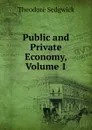 Public and Private Economy, Volume 1 - Theodore Sedgwick