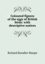 Coloured figures of the eggs of British birds: with descriptive notices - Richard Bowdler Sharpe
