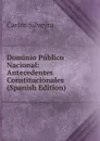 Dominio Publico Nacional: Antecedentes Constitucionales (Spanish Edition) - Carlos Silveyra