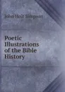 Poetic Illustrations of the Bible History - John Holt Simpson