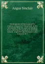 Development of the locomotive engine; a history of the growth of the locomotive from its most elementary form, showing the gradual steps made toward . engineers and inventors who nursed it on i - Angus Sinclair