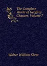 The Complete Works of Geoffrey Chaucer, Volume 7 - Walter W. Skeat