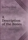 A Description of the Bones - John Flint South