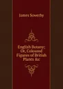 English Botany; Or, Coloured Figures of British Plants .c. - James Sowerby