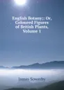 English Botany;: Or, Coloured Figures of British Plants, Volume 1 - James Sowerby