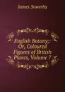 English Botany;: Or, Coloured Figures of British Plants, Volume 7 - James Sowerby