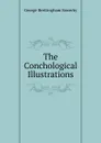 The Conchological Illustrations - George Brettingham Sowerby