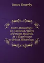 Exotic Mineralogy,: Or, Coloured Figures of Foreign Minerals, As a Supplement to British Mineralogy. . - James Sowerby