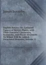 English Botany; Or, Coloured Figures of British Plants, with Their Essential Characters, Synonyms, and Places of Growth: To Which Will Be Added, Occasional Remarks, Volume 11 - James Sowerby