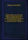 English Botany; Or, Coloured Figures of British Plants, with Their Essential Characters, Synonyms, and Places of Growth: To Which Will Be Added, Occasional Remarks, Volume 22 - James Sowerby