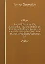 English Botany: Or, Coloured Figures of British Plants, with Their Essential Characters, Synonyms, and Places of Growth, Volume 18 - James Sowerby