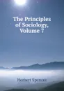 The Principles of Sociology, Volume 7 - Герберт Спенсер