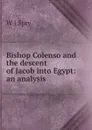 Bishop Colenso and the descent of Jacob into Egypt: an analysis - W J Spry