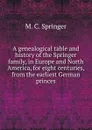 A genealogical table and history of the Springer family, in Europe and North America, for eight centuries, from the earliest German princes - M.C. Springer