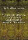 The Springfield Survey: Study of Social Conditions in an American City, Volume 2 - Shelby Millard Harrison