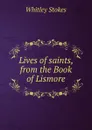 Lives of saints, from the Book of Lismore - Whitley Stokes