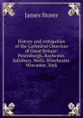 History and Antiquities of the Cathedral Churches of Great Britain: Petersburgh. Rochester. Salisbury. Wells. Winchester. Worcester. York - James Storer