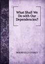 What Shall We Do with Our Dependencies. - Moorfield Storey