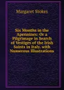 Six Months in the Apennines: Or a Pilgrimage in Search of Vestiges of the Irish Saints in Italy. with Numerous Illustrations - Margaret Stokes