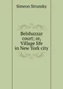 Belshazzar court; or, Village life in New York city - Simeon Strunsky