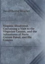 Virginia Illustrated: Containing a Visit to the Virginian Canaan, and the Adventures of Porte Crayon Pseud. and His Cousins - David Hunter Strother