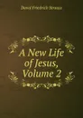 A New Life of Jesus, Volume 2 - David Friedrich Strauss