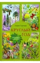 Круглый год - Мария Сергеева