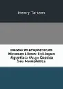 Duodecim Prophetarum Minorum Libros: In Lingua AEgyptiaca Vulgo Coptica Seu Memphitica - Henry Tattam