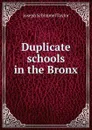 Duplicate schools in the Bronx - Joseph Schimmel Taylor