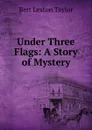 Under Three Flags: A Story of Mystery - Bert Leston Taylor