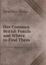 Our Common British Fossils and Where to Find Them - John Ellor Taylor