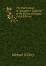 The Martyrology of Donegal: A Calendar of the Saints of Ireland (Irish Edition) - Michael O'Clery