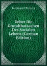 Ueber Die Grundthatsachen Des Socialen Lebens (German Edition) - Ferdinand Tönnies